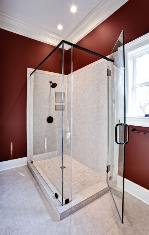 Stylish Shower Door