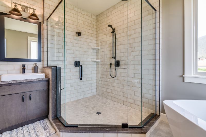Stylish Shower Door